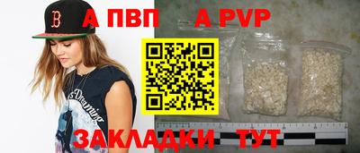 стаф Кунгур