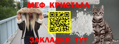 стаф Кунгур