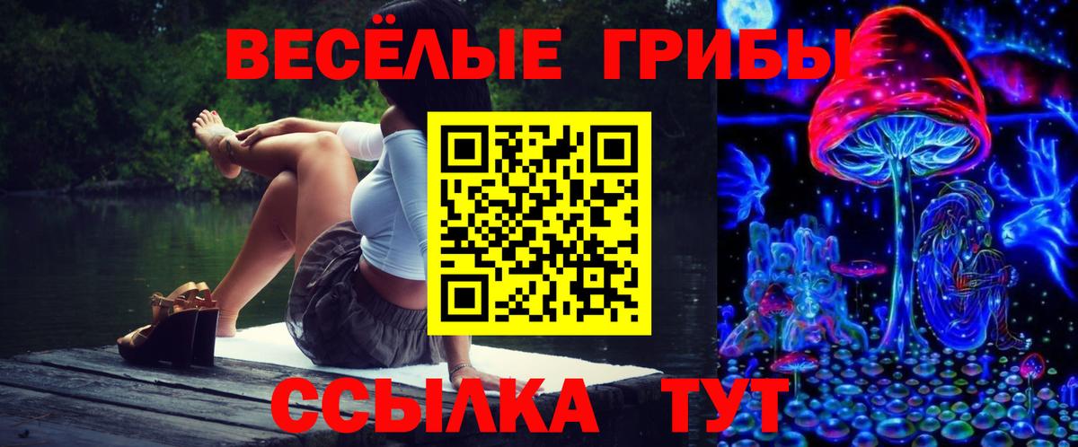 Галлюциногенные грибы Psilocybe Карачаевск