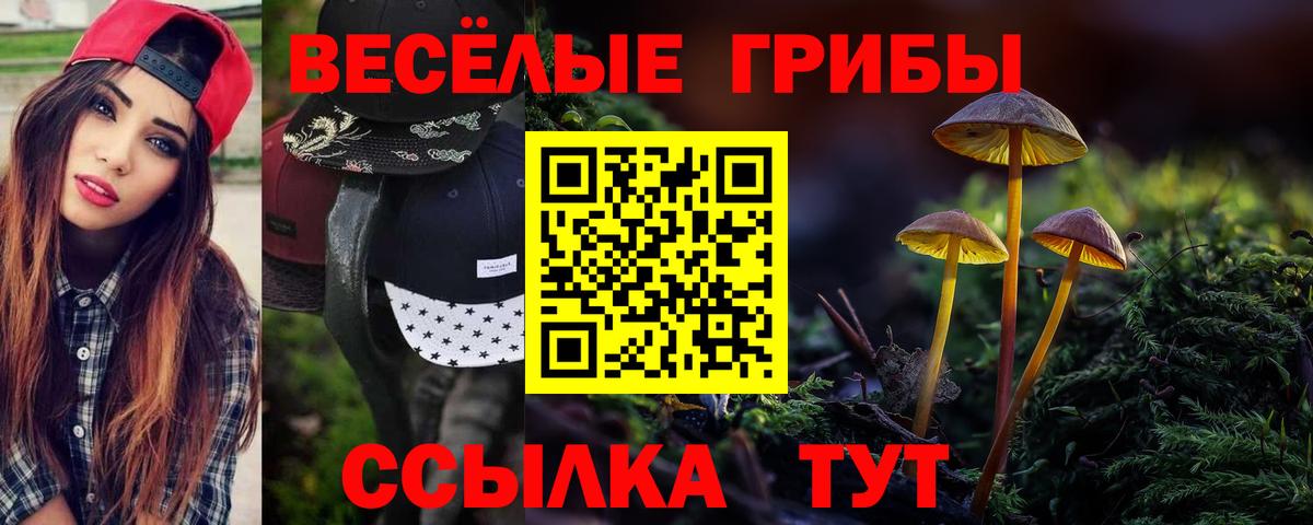 Галлюциногенные грибы мицелий  Вход с VPN  Карачаевск 